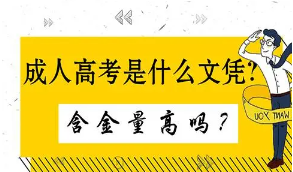 2021年成人高考哪些專業(yè)對口公務(wù)員考試呢？