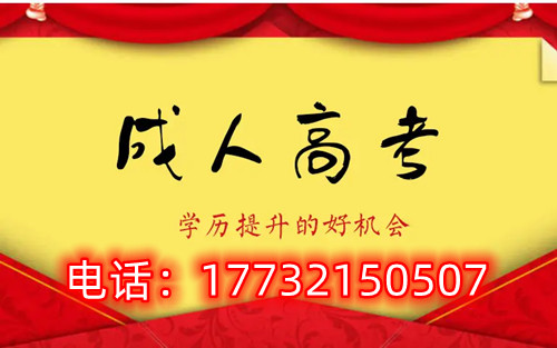 干貨！備考必讀，成考不踩雷！