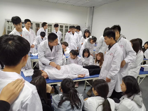 想學(xué)醫(yī)學(xué)？2026 石家莊冀聯(lián)醫(yī)學(xué)中專招生通道已開，圓你從醫(yī)夢！